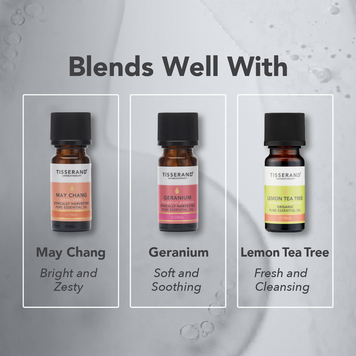 Tisserand Patchouli Organic Pure Essential Oil 9ml | Holland & Barrett